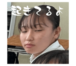 736007645