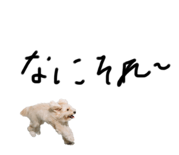 736011919