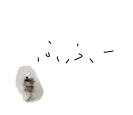 736011935