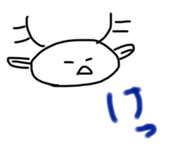 736012816