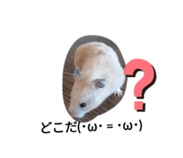 736021989