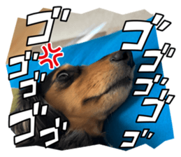 736023113