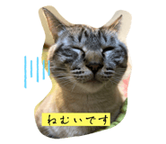 736028482