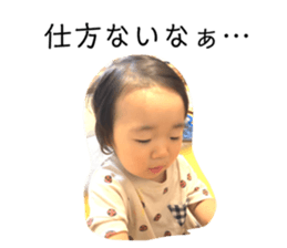 736040341