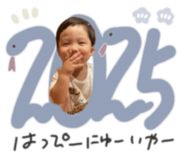 736053017