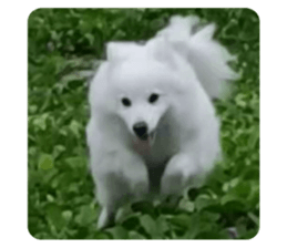 736058797