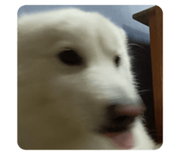 736058800