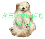 736064423