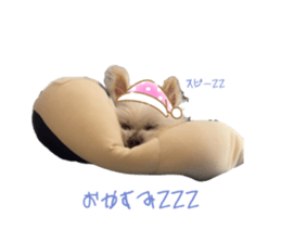 736068144
