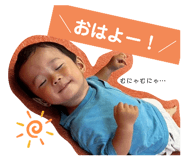 736068338