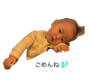 736075552