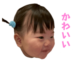 736076365