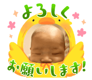 736083426
