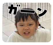 736083429