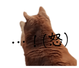 736100308