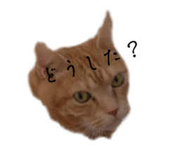 736100313