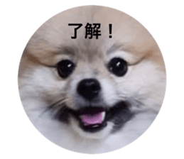 736109970