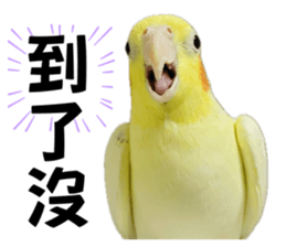 736111570