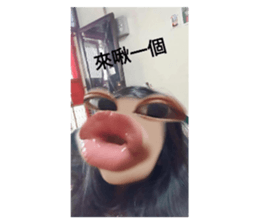 736133174