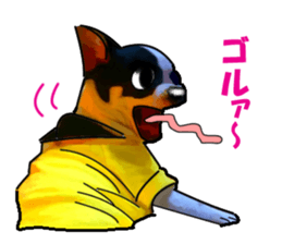 7361518