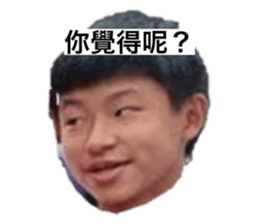 736157369