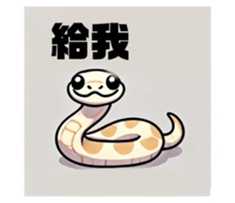 736192884