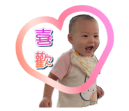 736207587