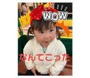 736221641