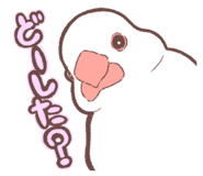 736233004