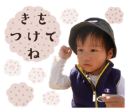 736244578