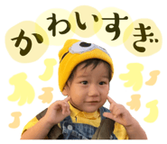 736244579