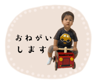 736244585