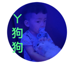736247775