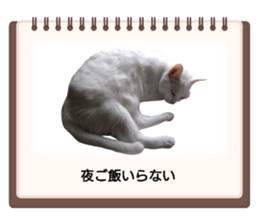 736252550