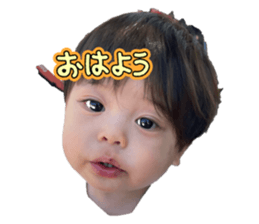 736253203