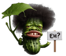 736255117