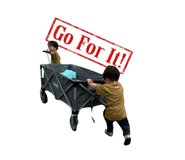 736255887