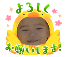 736291941