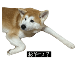 736298756