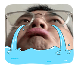 736306661