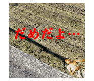 736312879