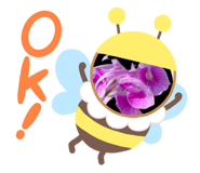 736323307
