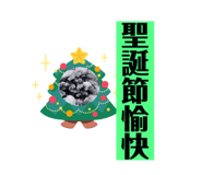 736323310
