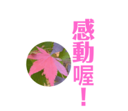 736323332