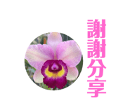 736323335