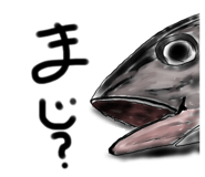 736325210