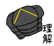 736325245