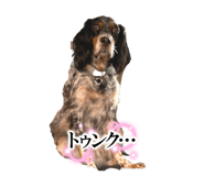 736330004