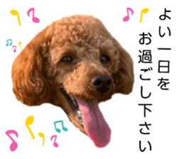 736331299