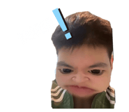 736337323